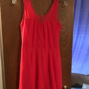 Express Fit & Flirty Dress